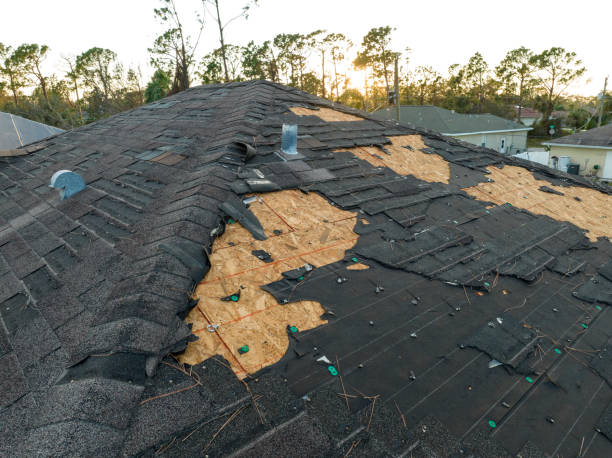 Professional Roofing in Rothsville, PA